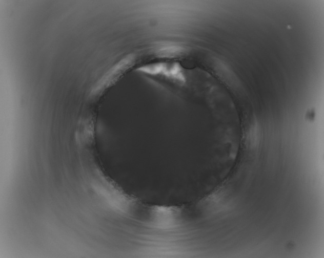X0000111520277200908251145