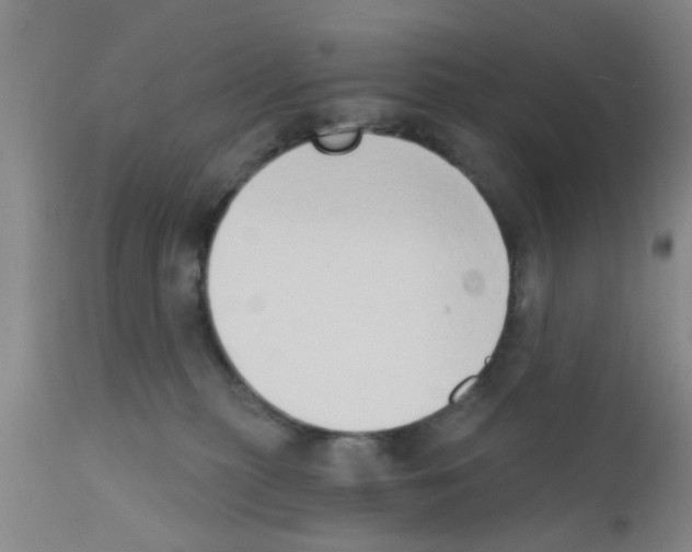 X0000111520279200908251145