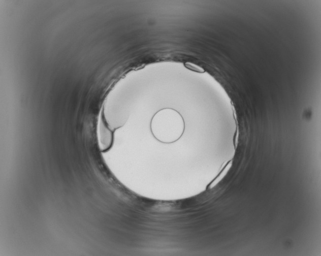 X0000111520280200908251145