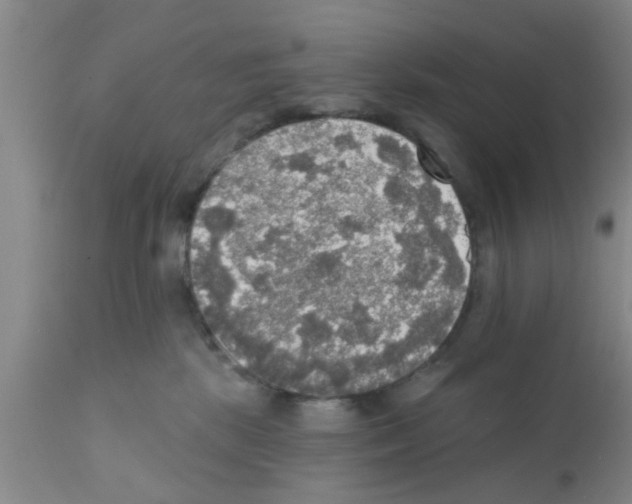 X0000111520281200908251145