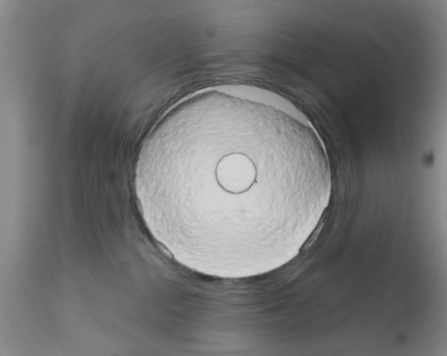 X0000111520284200908251145