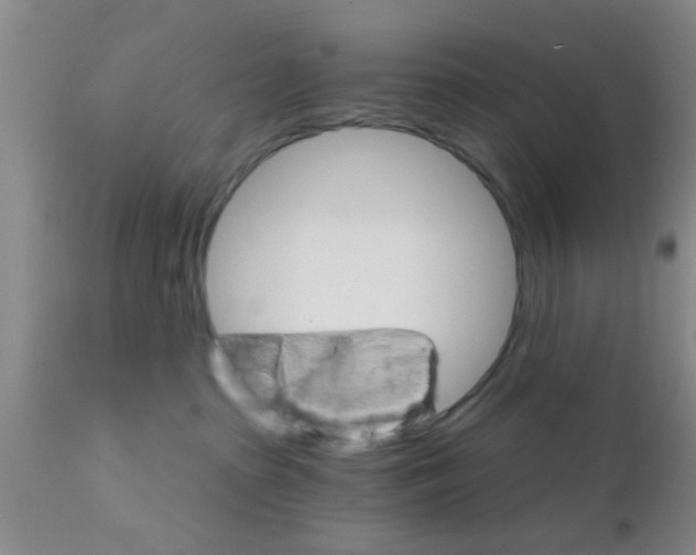 X0000111520285200908251145