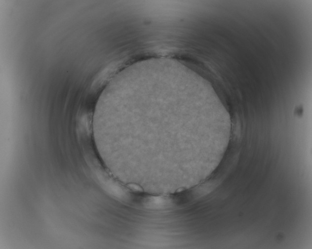 X0000111520286200908251145