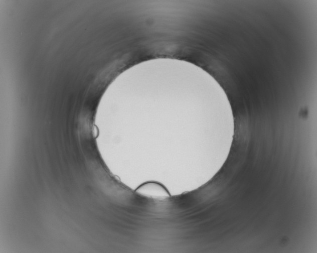 X0000111520287200908251145