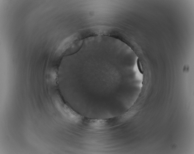 X0000111520288200908251145