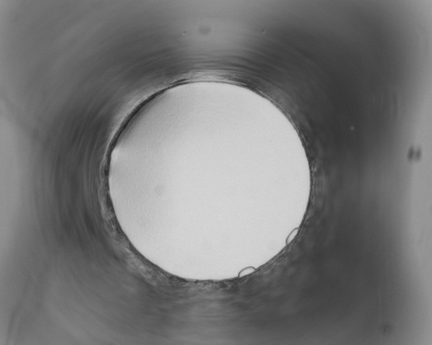 X0000111520289200908251144