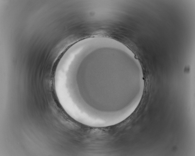 X0000111520290200908251144
