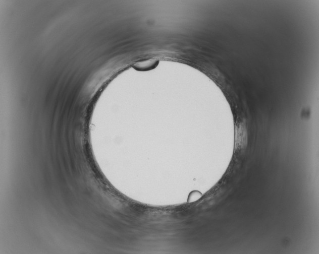 X0000111520291200908251144