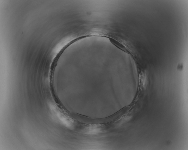 X0000111520292200908251144