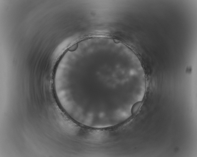 X0000111520293200908251144