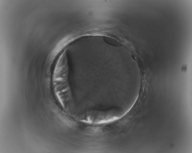 X0000111520295200908251144