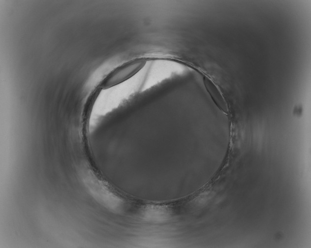 X0000111520296200908251144