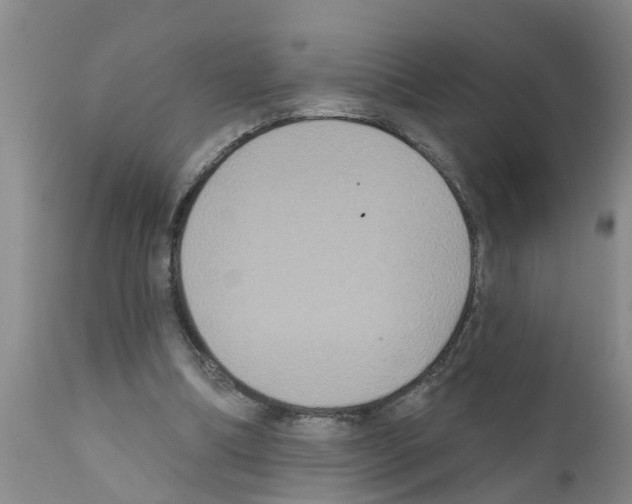 X0000111520298200908251144