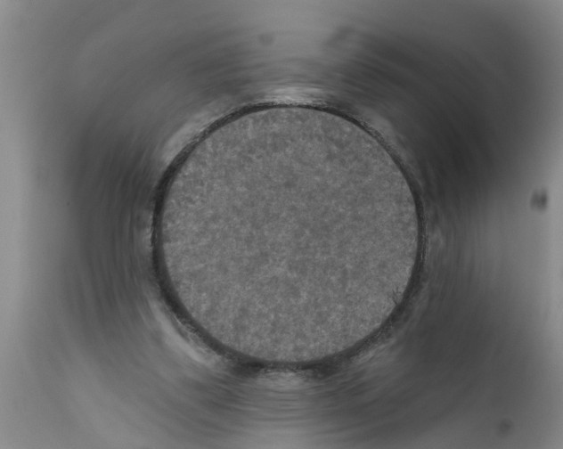 X0000111520299200908251144