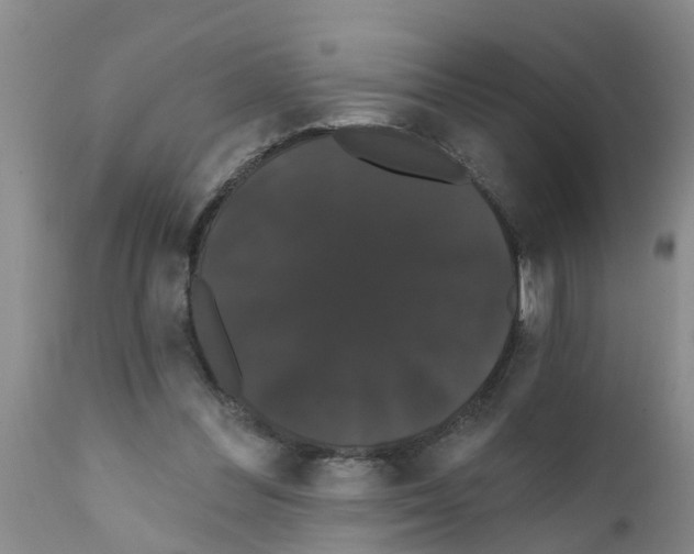 X0000111520300200908251144