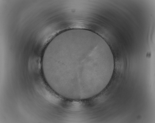 X0000111520302200908251144