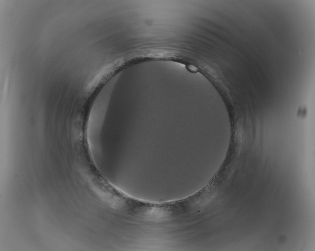 X0000111520303200908251144