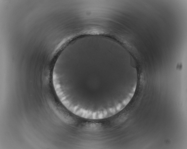 X0000111520304200908251144