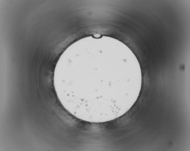X0000111520305200908251144