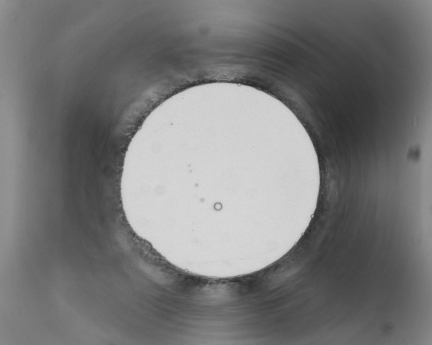 X0000111520307200908251144