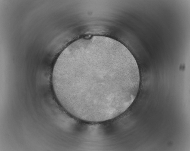 X0000111520309200908251144