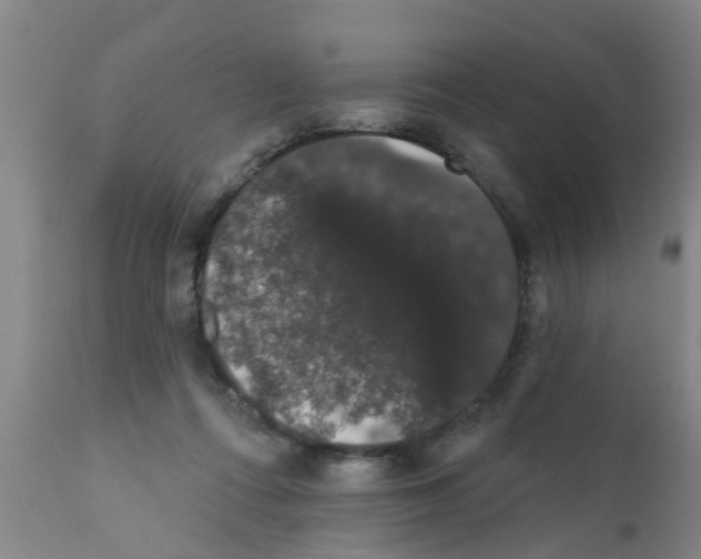 X0000111520312200908251144