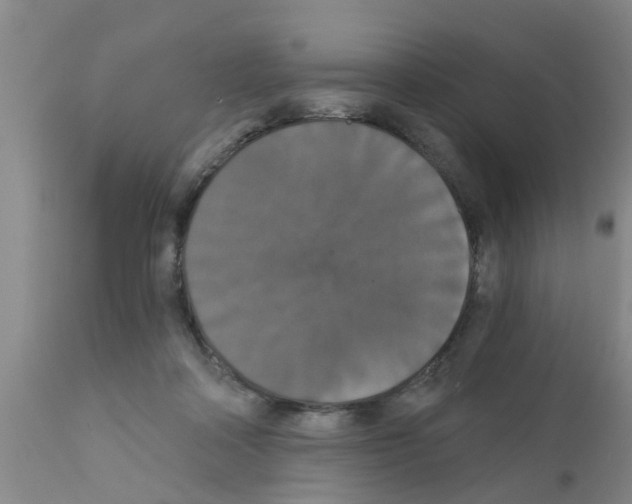 X0000111520314200908251144