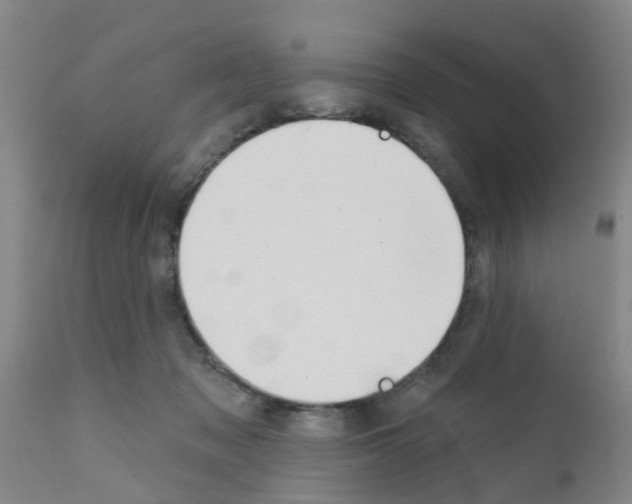X0000111520317200908251144
