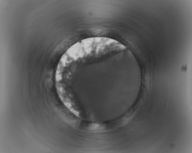 X0000111520319200908251144