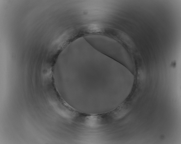 X0000111520320200908251144