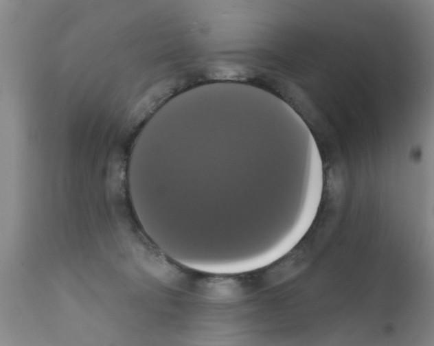X0000111520322200908251143