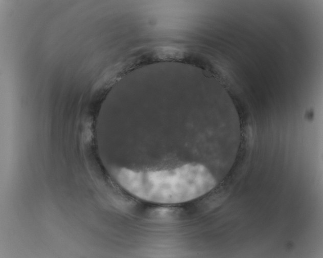 X0000111520323200908251143