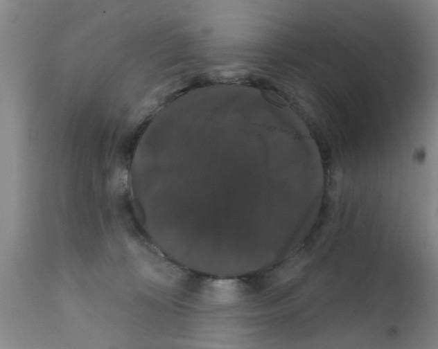 X0000111520324200908251143