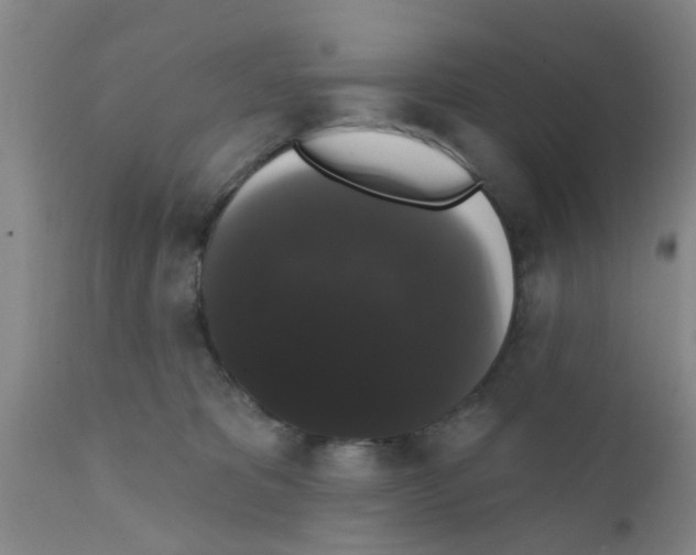 X0000111520325200908251143