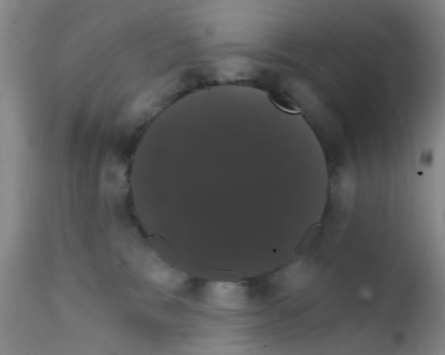 X0000111520327200908251143