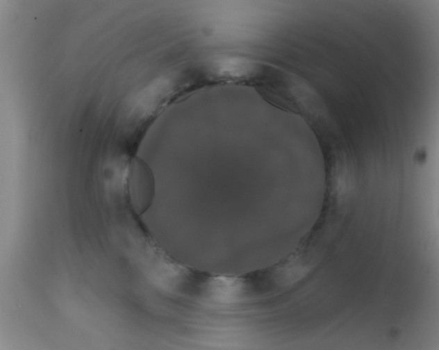 X0000111520328200908251143