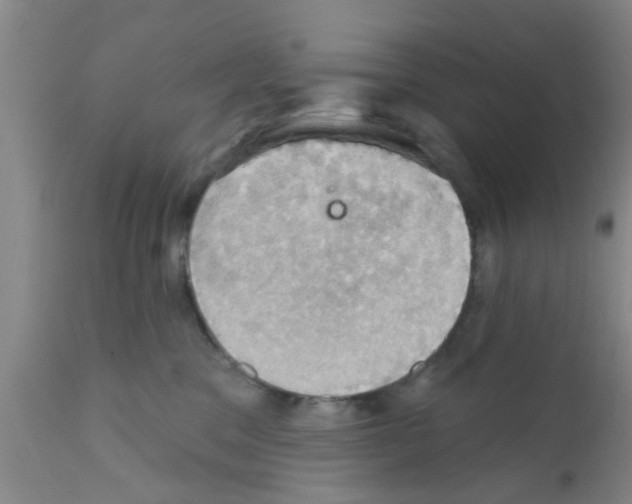 X0000111520329200908251143