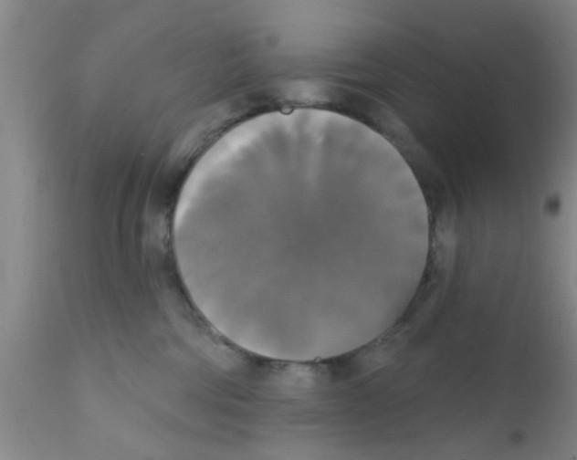 X0000111520330200908251143