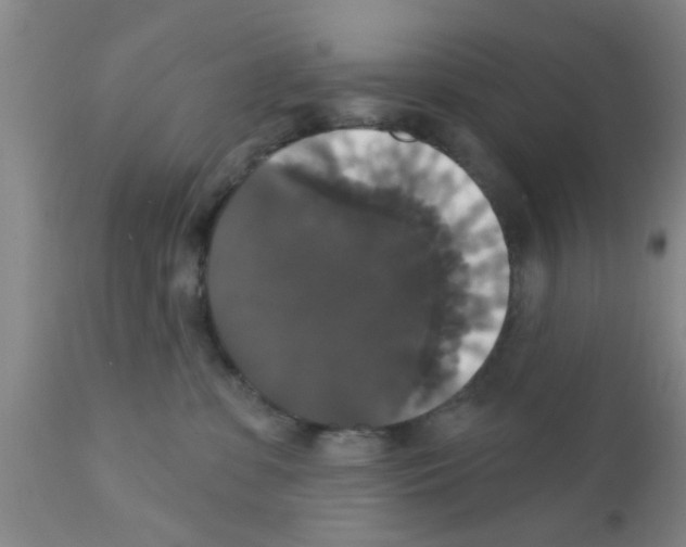 X0000111520331200908251143