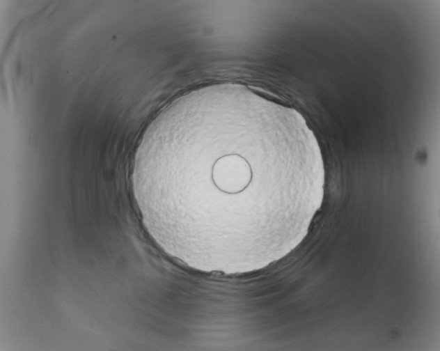 X0000111520332200908251143