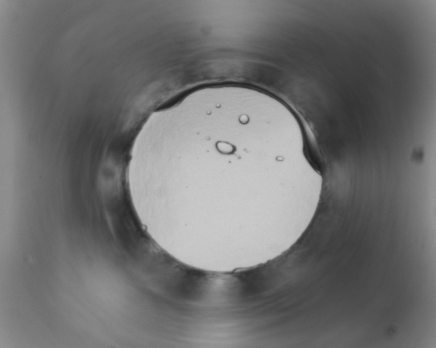 X0000111520333200908251143