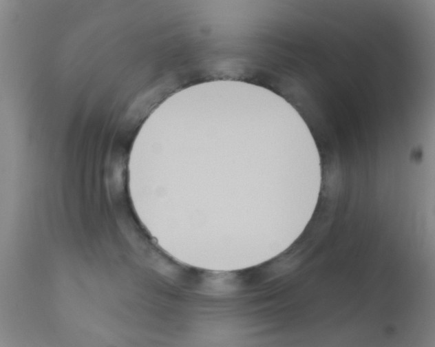 X0000111520334200908251143