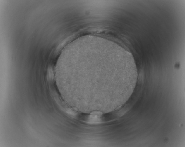 X0000111520335200908251143