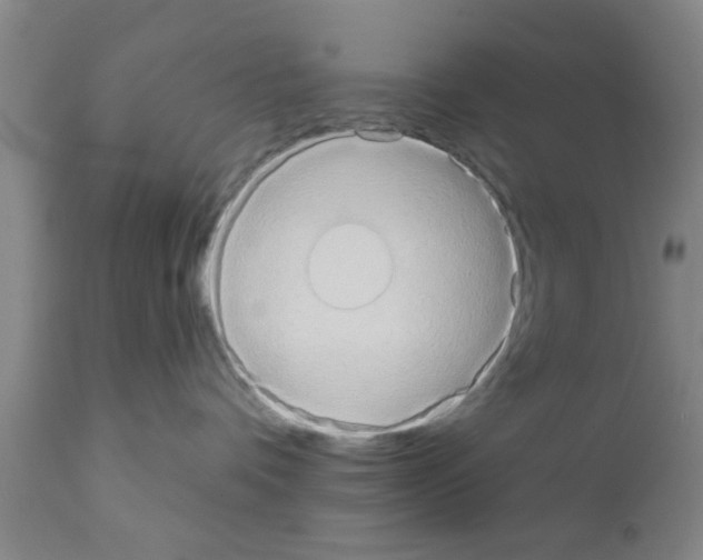X0000111520336200908251143