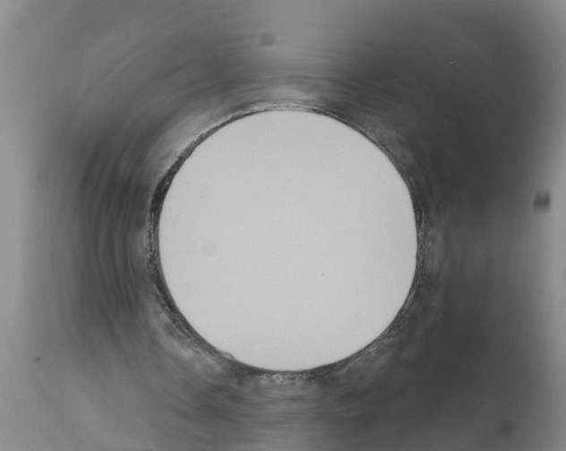 X0000111520338200908251142