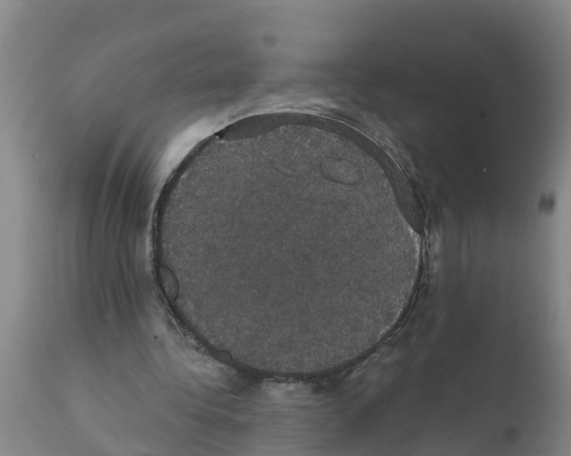 X0000111520340200908251142
