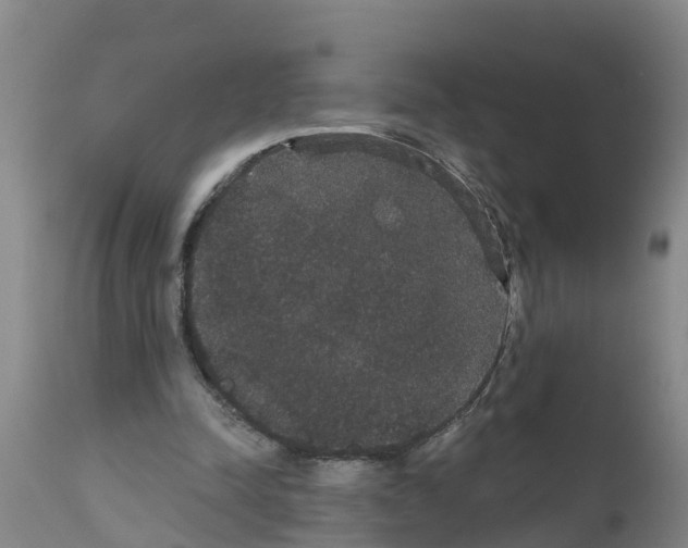 X0000111520342200908251142