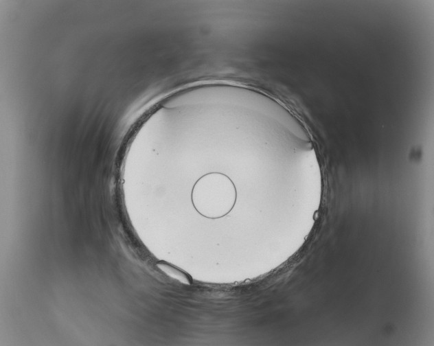 X0000111520344200908251142
