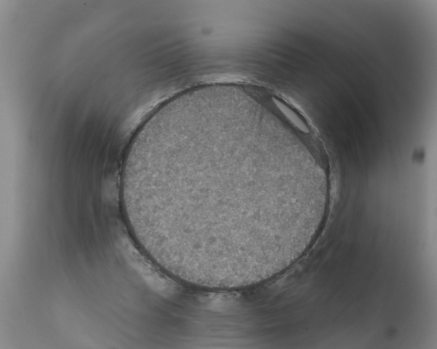 X0000111520345200908251142