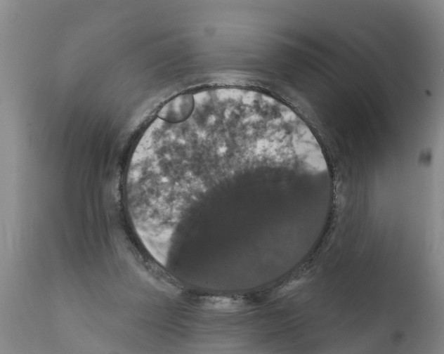X0000111520347200908251142